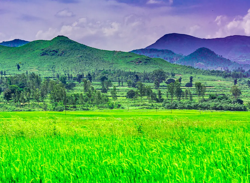 Visakhapatnam and Araku Valley 4 Nights 5 Days Honeymoon Package ...