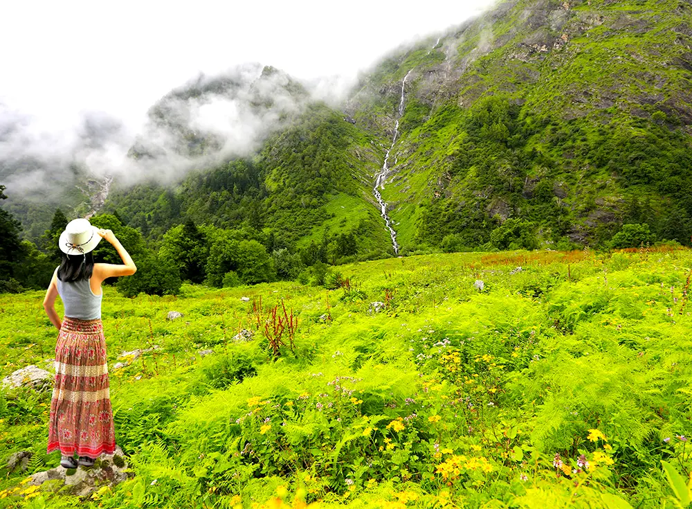 6 Nights 7 Days Valley Of Flowers Tour Package