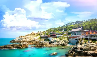 Alluring 9 Days 8 Nights Seoul Honeymoon Package Alluring 9 Days 8 Nights Seoul Honeymoon Package