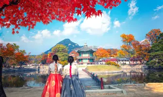 Magical 7 Nights 8 Days South Korea Honeymoon Package