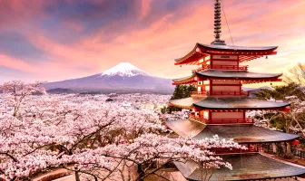 Essential Japan 6 Nights 7 Days Family Tour Package