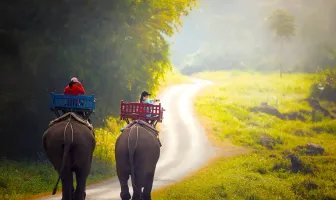 6 Nights 7 Days Nepal Tour Package with Chitwan National Park