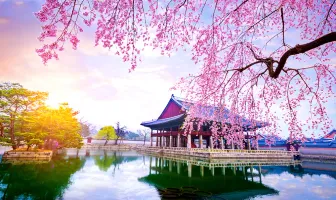 Delightful Seoul 7 Days 6 Nights Tour Package for Couple