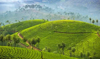Munnar 3 Nights 4 Days Tour Package