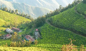 Exciting Coorg and Ooty 5 Nights 6 Days Couple Tour Package
