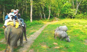 Explore Nepal with Wildlife 6 Nights 7 Days Tour Package