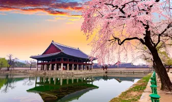 Amazing Seoul 7 Nights 8 Days Tour Package