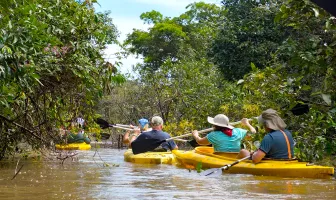 Manaus And Amazon Jungle Adventure 4 Nights 5 Days Tour Package