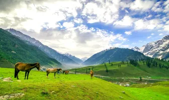 Best of Kashmir 4 Nights 5 Days Budget Tour Package With Gulmarg