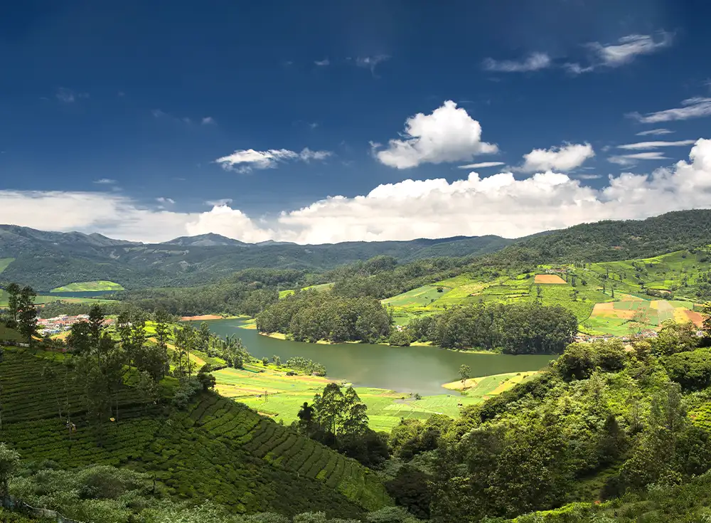 Amazing Ooty 4 Nights 5 Days Couple Tour Package with Kodaikanal ...