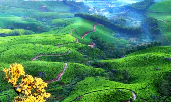 Magical Munnar and Thekkady 3 Nights 4 Days Family Tour Package