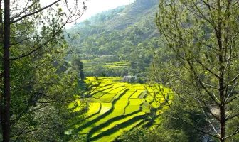 3 Days 2 Nights Amazing Almora Tour Package 3 Days 2 Nights Amazing Almora Tour Package