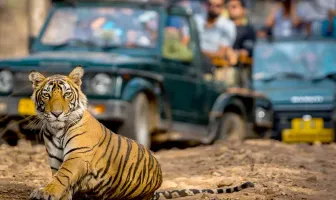 3 Nights 4 Days Ranthambore Tour Package