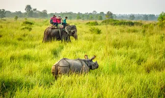 Wildlife in Nepal 5 Nights 6 Days Tour Package