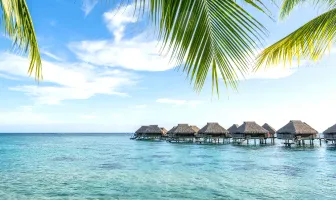 5 Days 4 Nights Delightful Angsana Velavaru Maldives Honeymoon Package 5 Days 4 Nights Delightful Angsana Velavaru Maldives Honeymoon Package