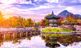 Mesmerising Seoul Couple Tour Package for 4 Days 3 Nights
