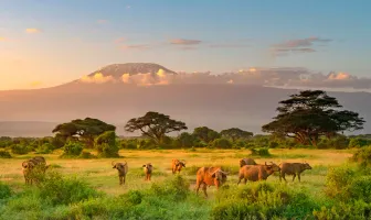 Marvelous in Kenya New Year Tour Package for 5 Days 4 Nights