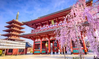 Tokyo 4 Nights 5 Days Tour Package