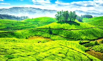 5 Days 4 Nights Munnar Thekkady Alleppey Tour Package for Couple