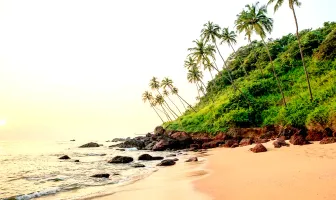 Goa 6 Nights 7 Days Honeymoon Package with Planet Hollywood Beach Resort